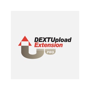 DEXTUpload Pro Extension Server License 영구(ESD) 덱스트업로드