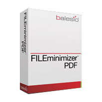 FILEminimizer PDF Single [ESD다운로드방식]
